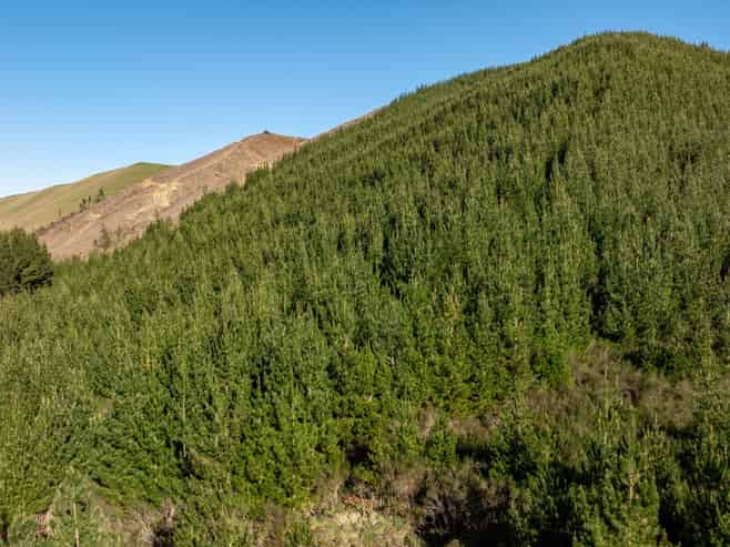  Motueka Valley Highway - Rabbit Gully, Motueka Valley