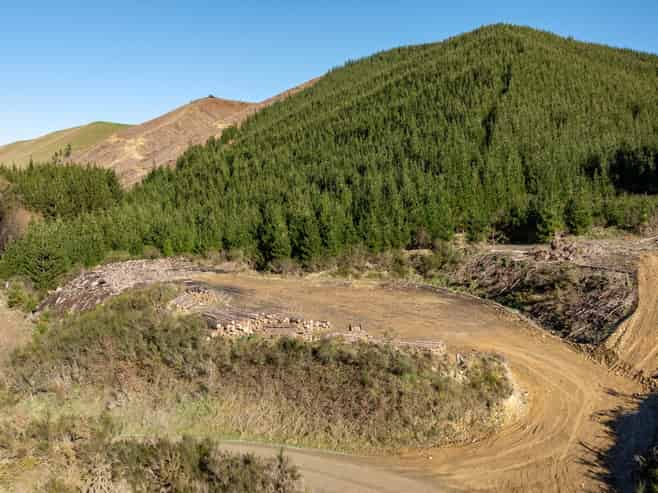  Motueka Valley Highway - Rabbit Gully, Motueka Valley