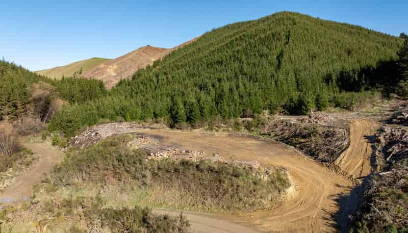  Motueka Valley Highway - Rabbit Gully, Motueka Valley