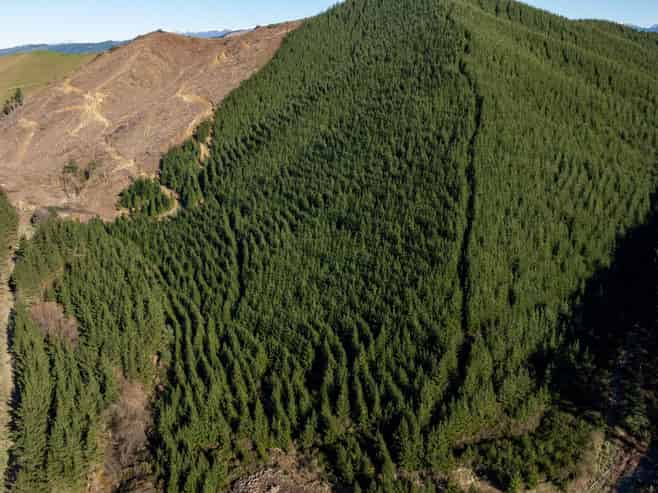  Motueka Valley Highway - Rabbit Gully, Motueka Valley