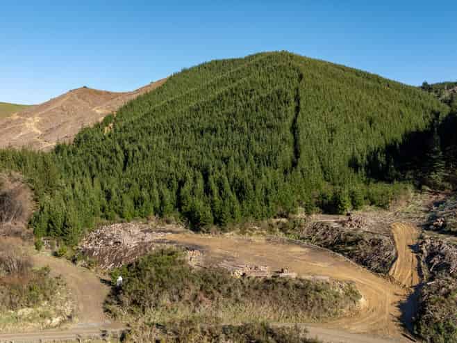  Motueka Valley Highway - Rabbit Gully, Motueka Valley