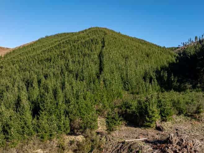  Motueka Valley Highway - Rabbit Gully, Motueka Valley