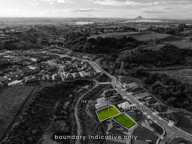 164 Adler Drive, Ohauiti