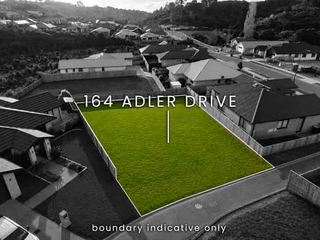 164 Adler Drive, Ohauiti