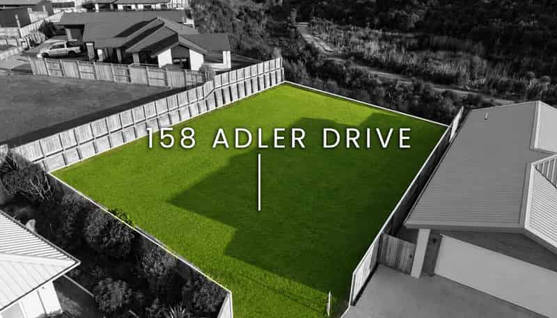 158 Adler Drive, Ohauiti