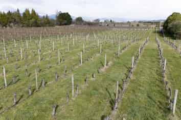 19 The Coastal Highway, Redwood Valley