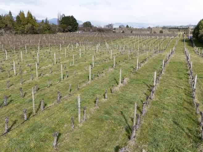 19 The Coastal Highway, Redwood Valley