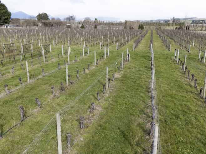 19 The Coastal Highway, Redwood Valley