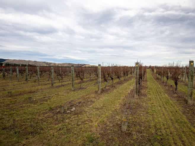 782 Glasnevin Road, Waipara