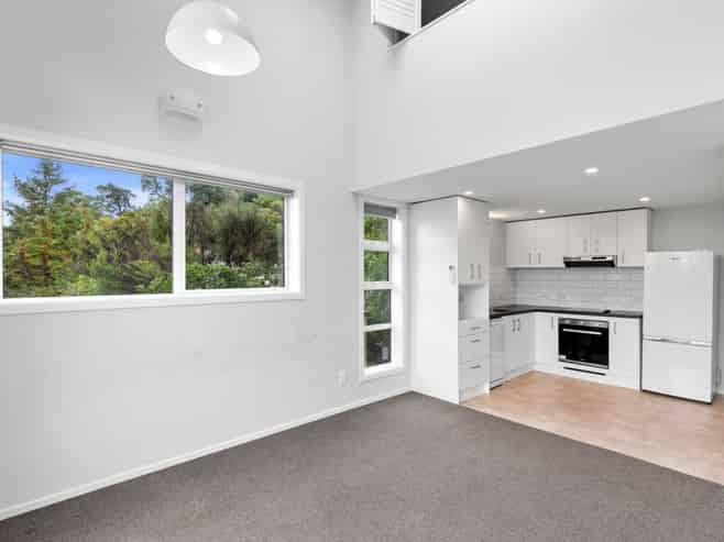3/8 Whaui Street, Vogeltown