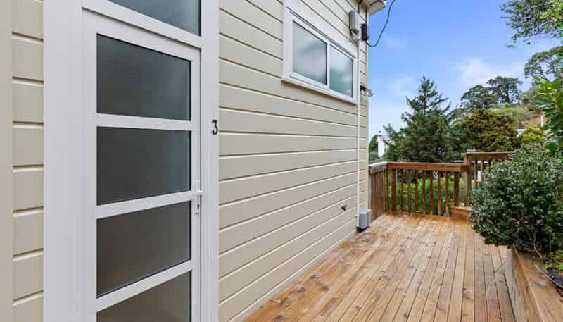 3/8 Whaui Street, Vogeltown