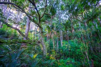 345 Taraunui Road, Parua Bay