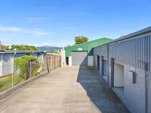 Industrial investment with dual income