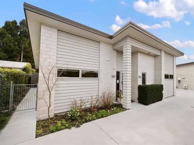 2/50 Kowhai Street, Hamilton Lake