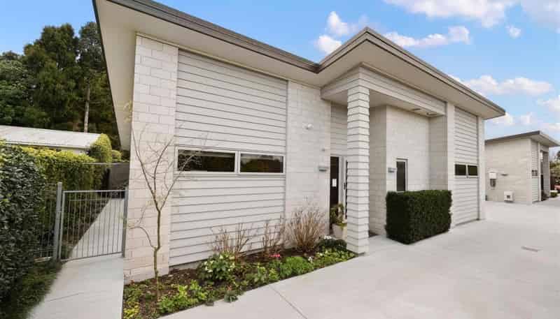 2/50 Kowhai Street, Hamilton Lake