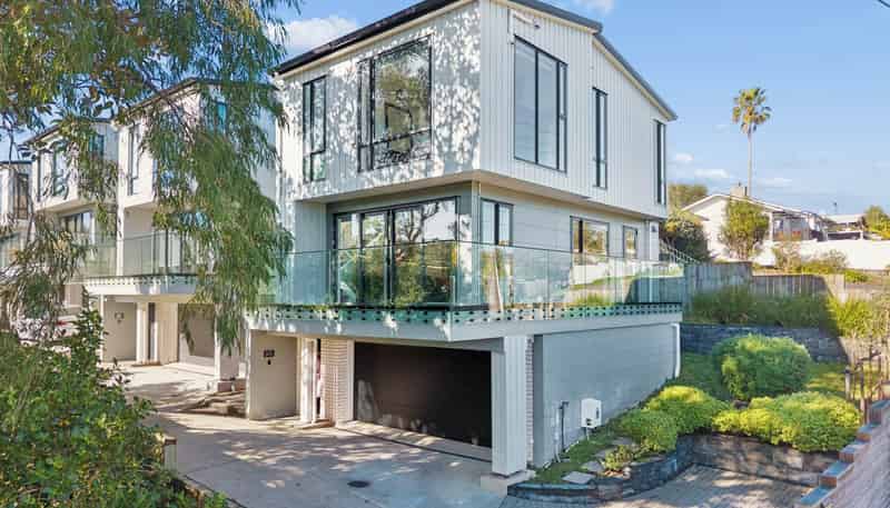 163A Verbena Road, Birkdale