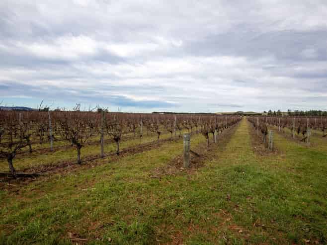 590 Georges Road, Waipara