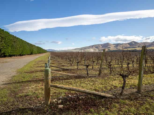 590 Georges Road, Waipara