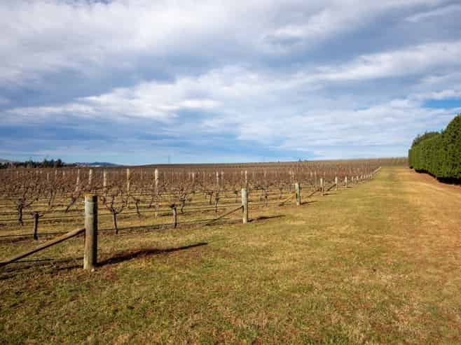 590 Georges Road, Waipara