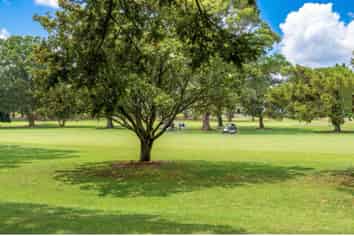 11D Norman Lesser Drive, Saint Johns