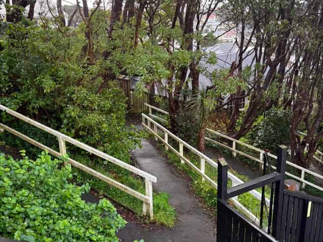 93 Rakau Road, Hataitai