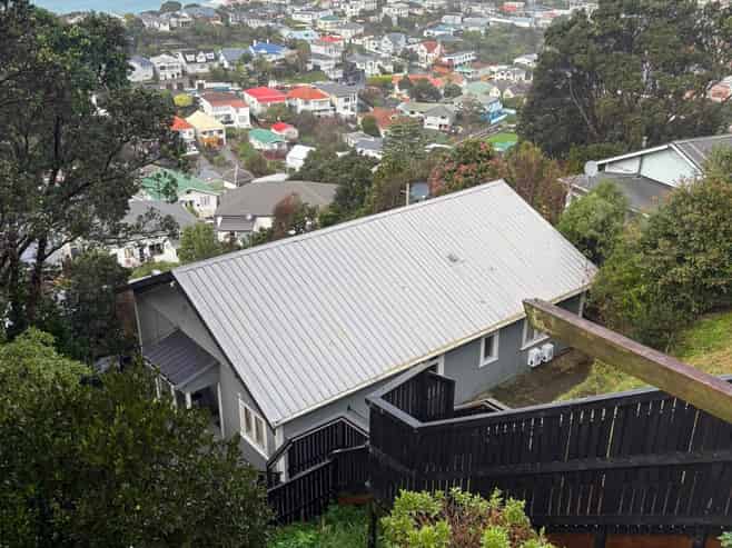 93 Rakau Road, Hataitai