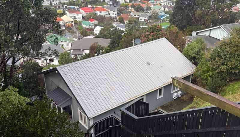 93 Rakau Road, Hataitai