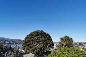 3/71 Rakau Road, Hataitai
