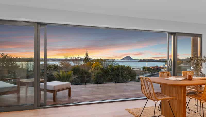 359 Maungatapu Road, Maungatapu