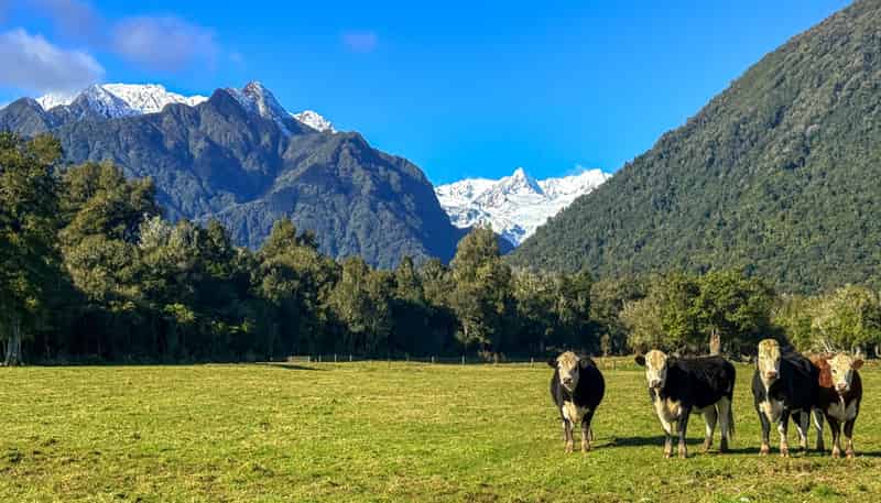 288 State Highway 6, Fox Glacier