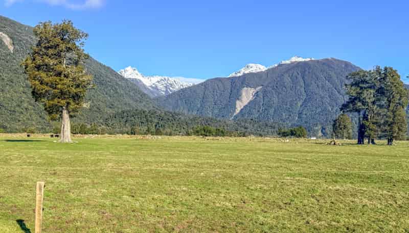 288 State Highway 6, Fox Glacier