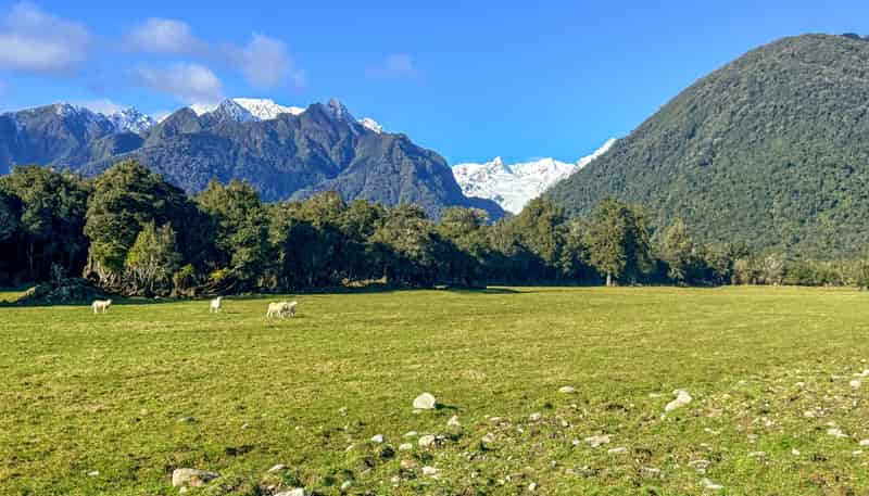 288 State Highway 6, Fox Glacier