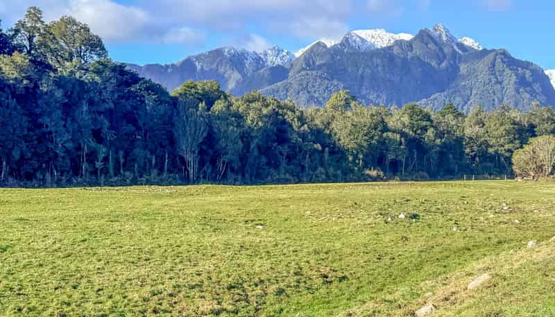 288 State Highway 6, Fox Glacier