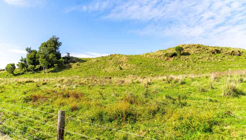 00 Tararua Drive, HAMURANA