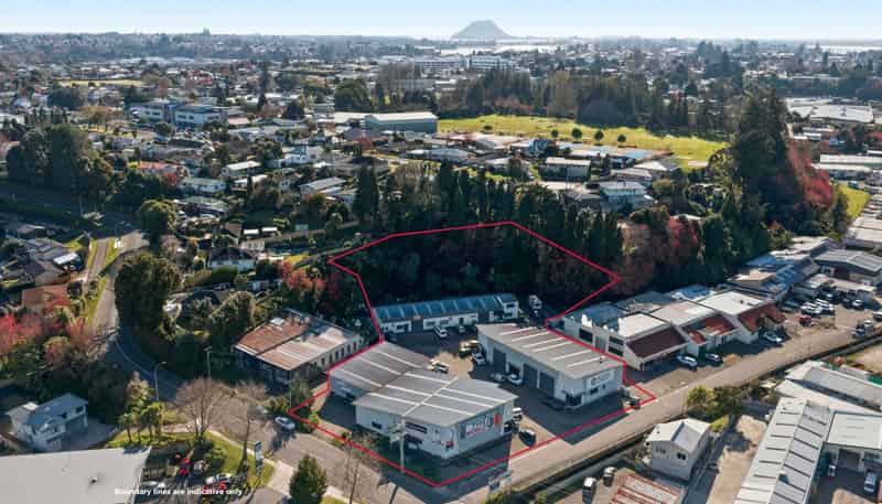 2 and 8 Wilrose Place, Tauranga South