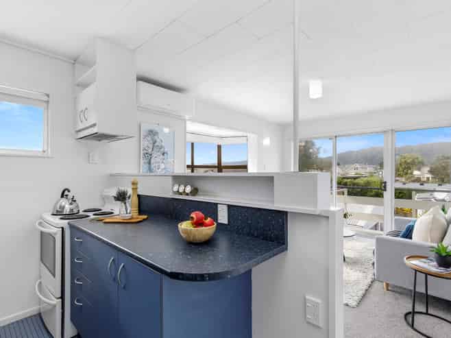 3E Manchester Street, Petone