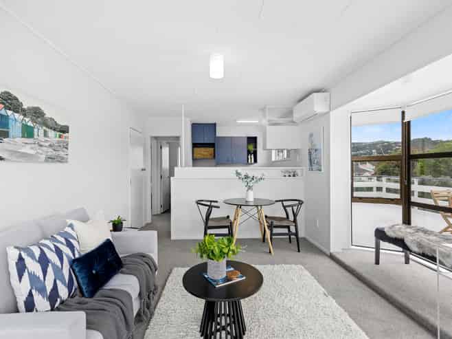 3E Manchester Street, Petone
