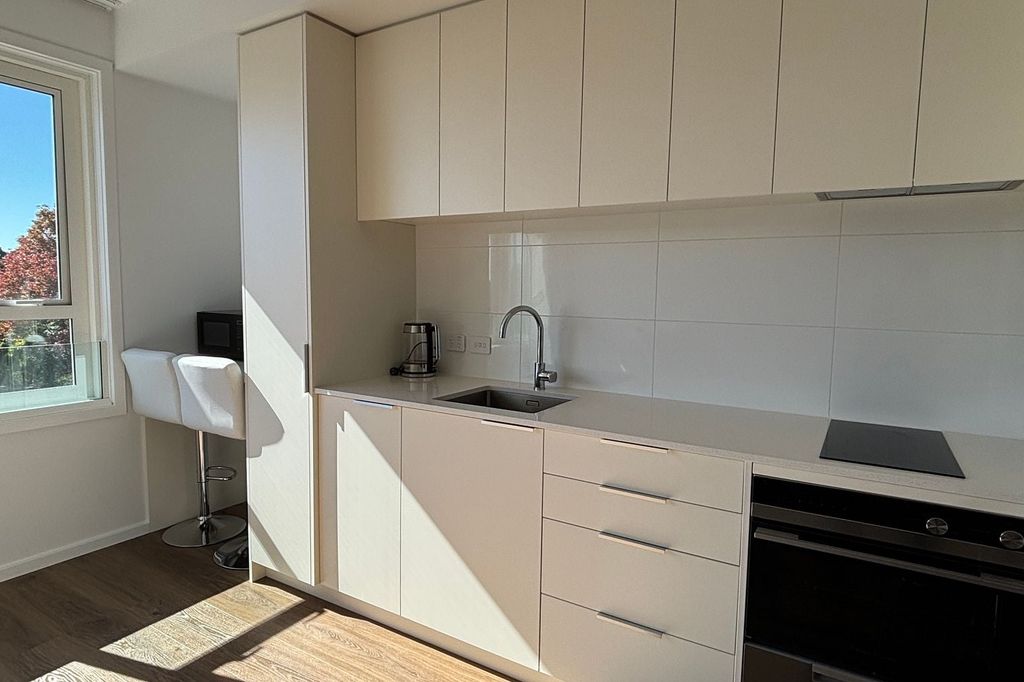 Brand New North-facing studio with Lots of Sun 3
