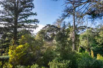1/7 The Avenue, Albany