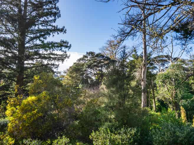 1/7 The Avenue, Albany
