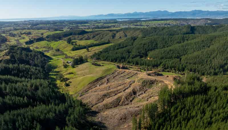  Supplejack Valley Road, Upper Moutere