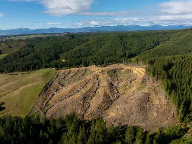  Supplejack Valley Road, Upper Moutere
