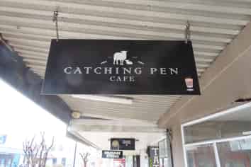 The Catching Pen