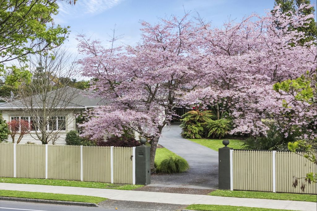 Quarter Acre Opportunity | Walk to Town 3