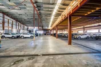Large-Scale Napier Industrial