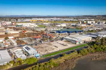 Large-Scale Napier Industrial