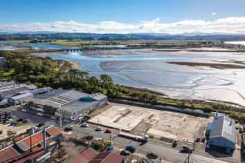 Large-Scale Napier Industrial