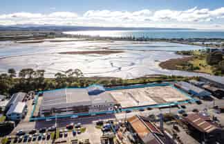 Large-Scale Napier Industrial