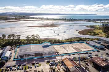 Large-Scale Napier Industrial