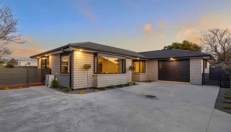 20A George Street, Levin